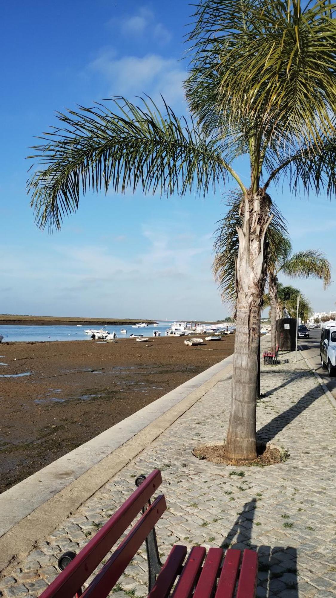 Casinha Secreta - A Gema Escondida Da Santa Luzia Apartment ซานตาลูเซีย ภายนอก รูปภาพ